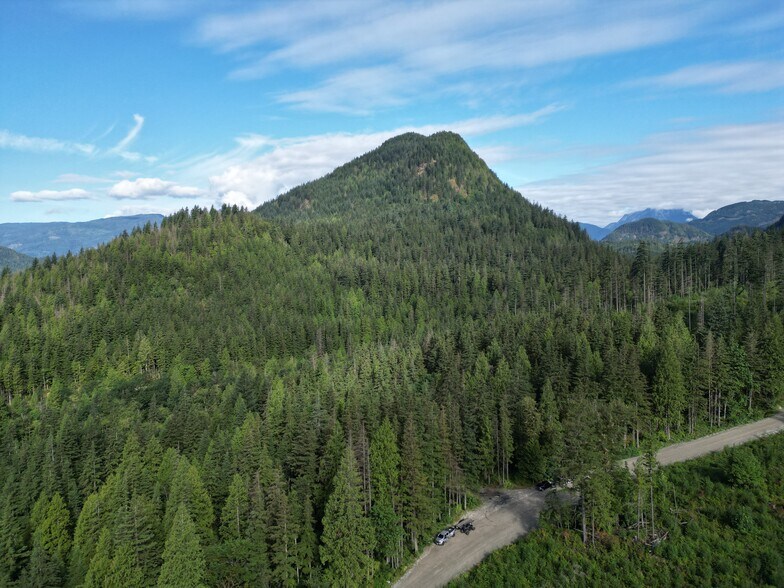 More Photos Of 241 Sylvester Rd, Mission Land For Sale