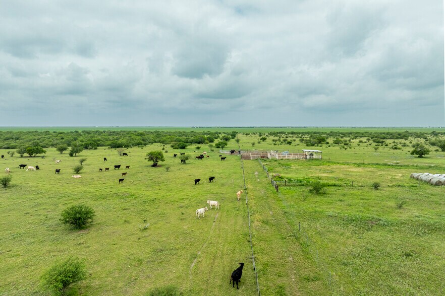 More Photos Of 1038 FM 1360, Woodsboro Land For Sale