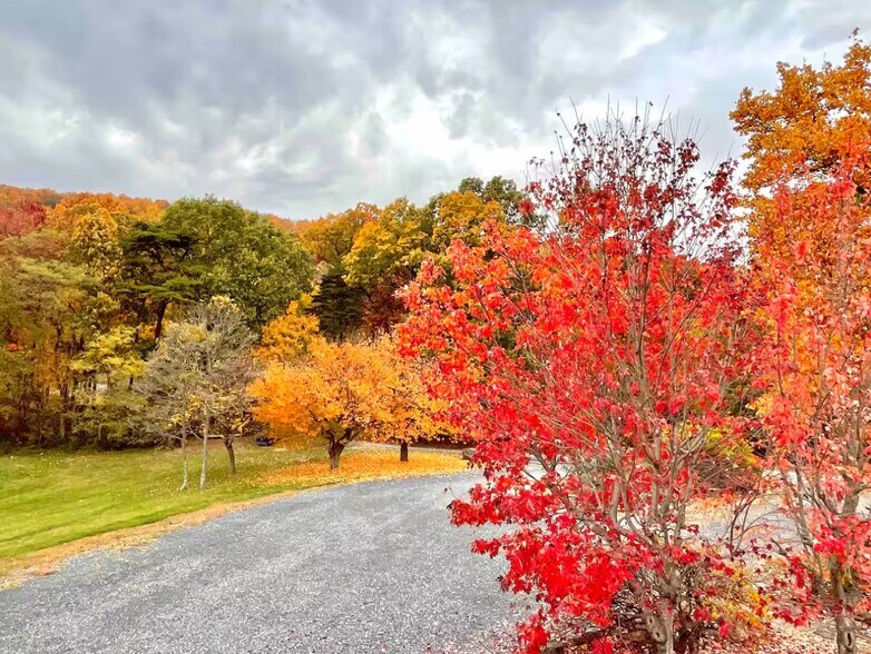More Photos Of 349 Lucas Rd, Warfordsburg Specialty For Sale