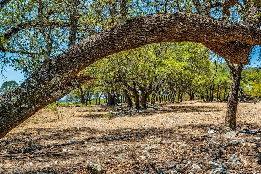 More Photos Of 7700 Old Granbury Rd, Cresson Land For Sale