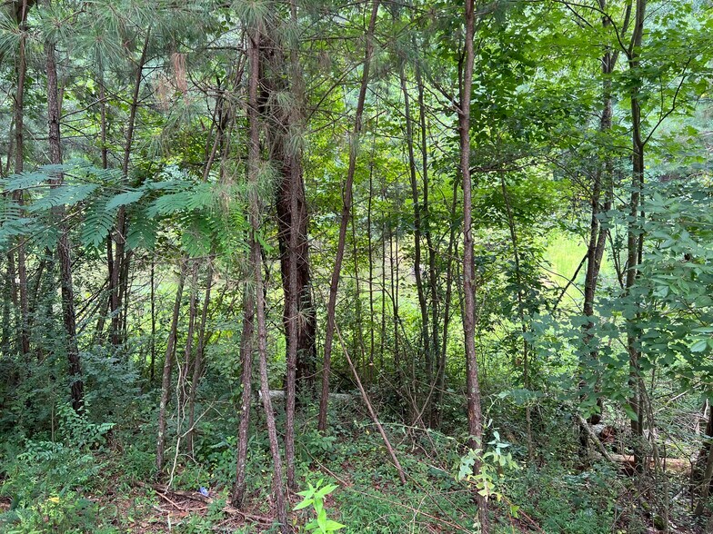 More Photos Of Pinyan, Ranger Land For Sale