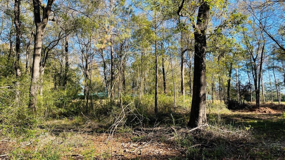 More Photos Of 4106 Hwy 69 S Hwy, Lumberton Land For Sale