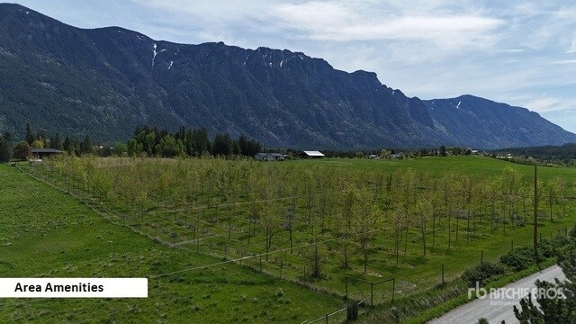 More Photos Of 3853 Muzzy Rd, Canyon Land For Sale