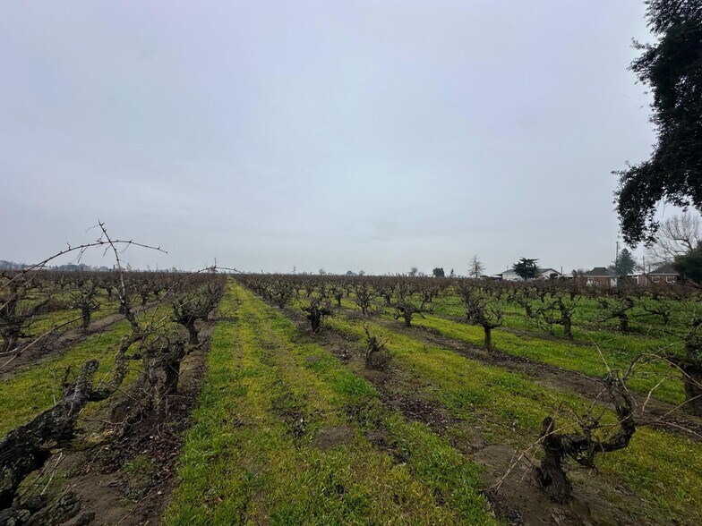 More Photos Of 17600 Devries rd, Lodi Land For Sale