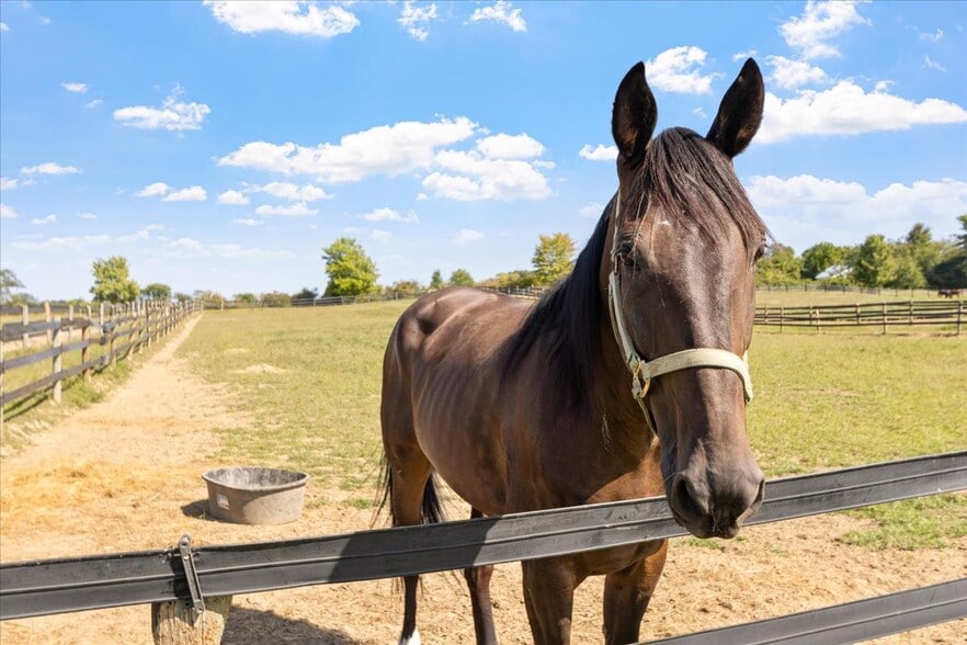 More Photos Of 7233 National Rd, Thornville Horse Stables For Sale