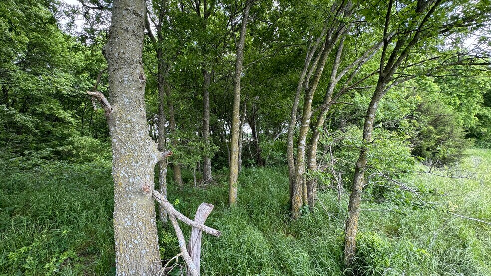 More Photos Of 9024 FM 64, Pecan Gap Land For Sale