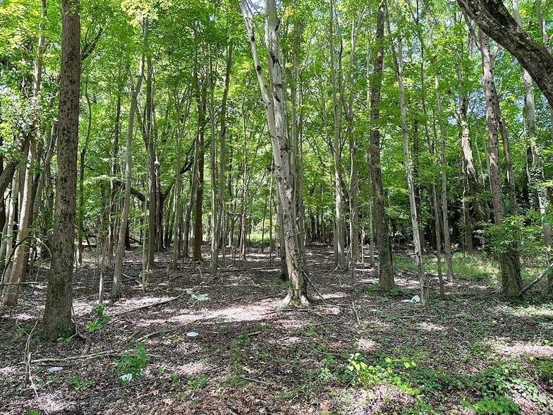 More Photos Of 2015 Pembroke Ave, Hampton Land For Sale