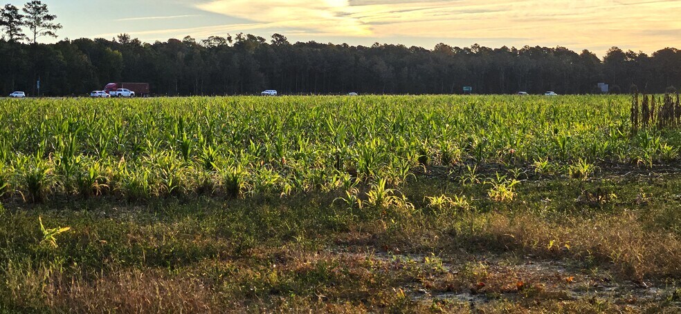 More Photos Of 134 Wf Brogdon Ln, Brooklet Land For Sale