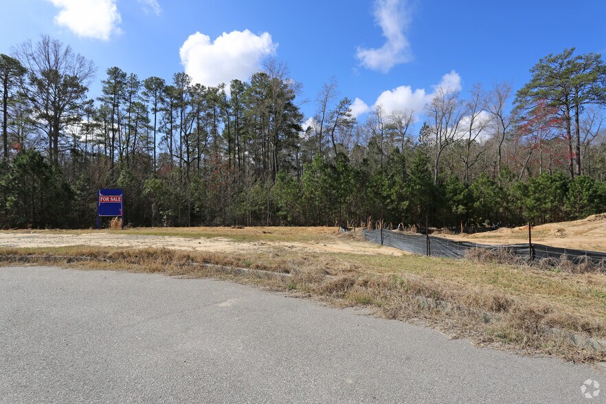 Primary Photo Of 144 Brookside Pky, Lexington Land For Sale