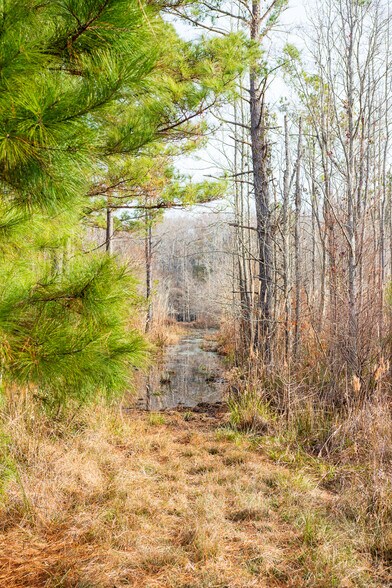 More Photos Of 409 Windward Ave, Orangeburg Land For Sale