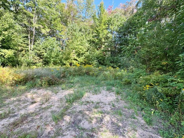 More Photos Of 615 Beardsley St, Boyne City Office For Sale