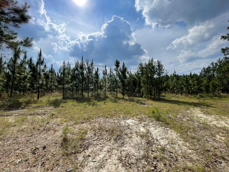 More Photos Of 229 Colbert Bridge Road, Windsor Land For Sale