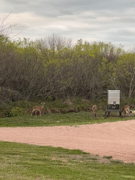 More Photos Of 1911 Wald Rd, New Braunfels Manufactured Housing Mobile Home Park For Sale