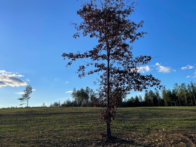More Photos Of 92 Lillian Strong rd, Carlton Land For Sale