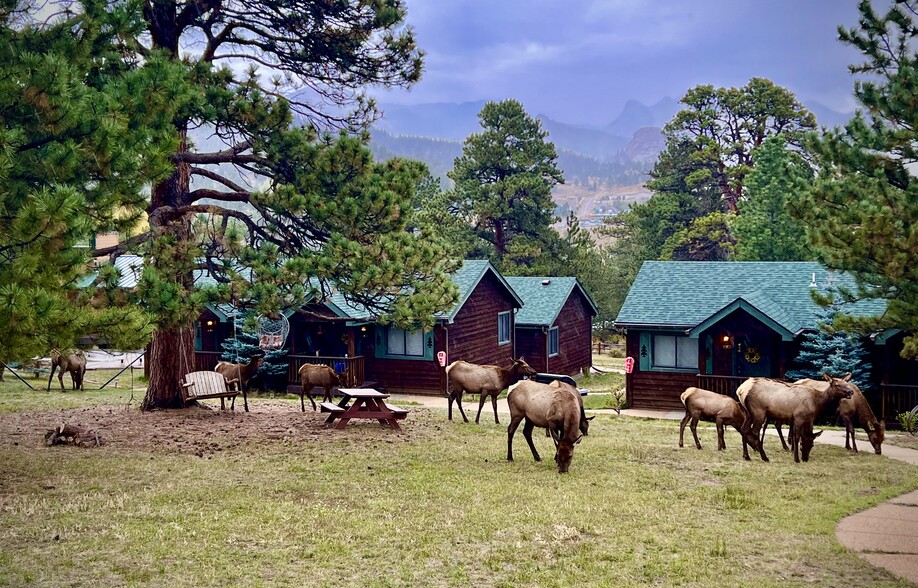 Primary Photo Of 841 Riverside Dr, Estes Park Hotel For Sale