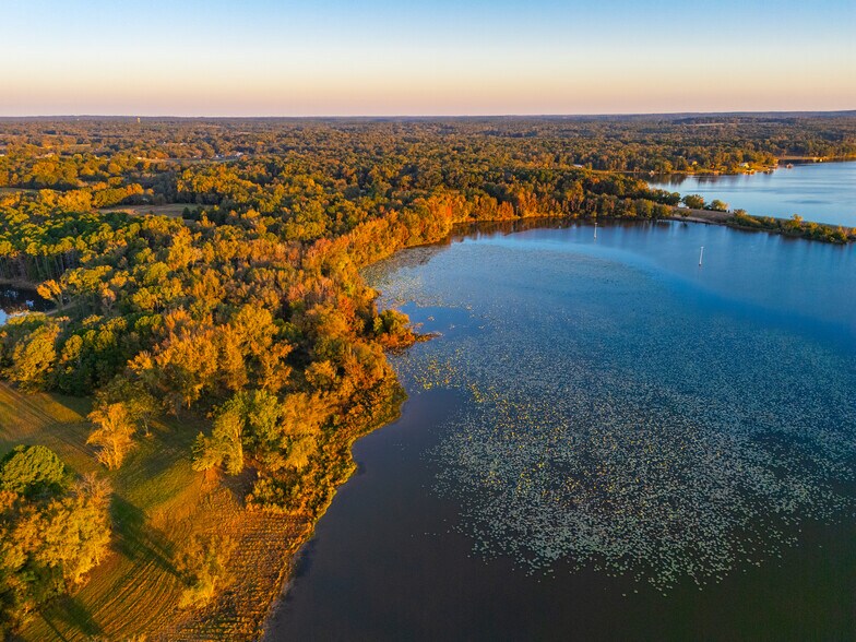 More Photos Of 391 Farm to Market 1519, Scroggins Land For Sale