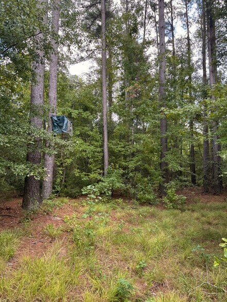 More Photos Of 333 Samuel Dr, Springfield Land For Sale