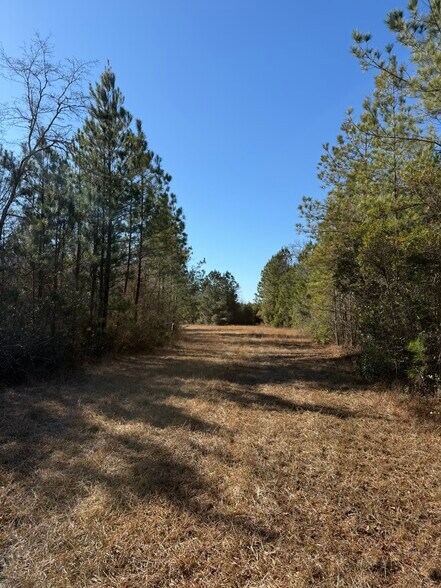 More Photos Of 0 Sniders Hwy, Walterboro Land For Sale
