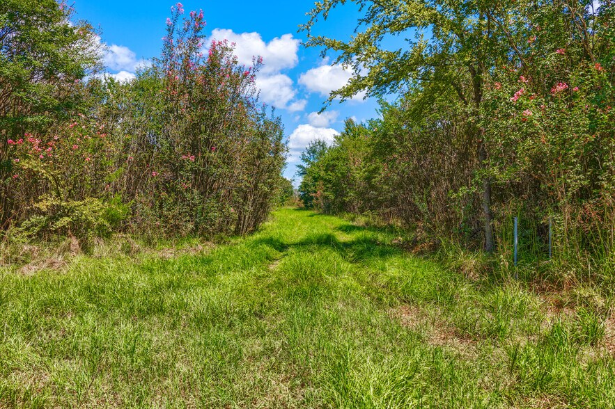 More Photos Of 12960 County Road 4006, Mabank Land For Sale