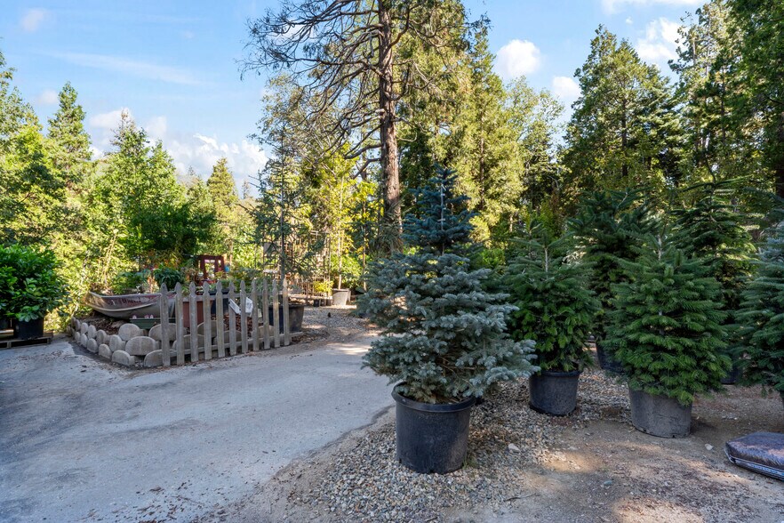 More Photos Of 303 CA-173 Hwy, Lake Arrowhead Garden Center For Sale