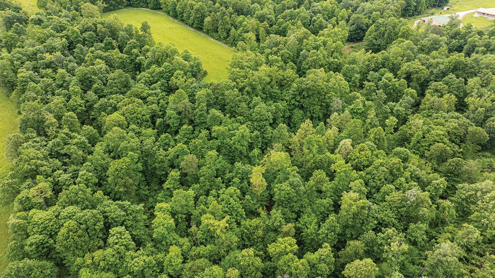 More Photos Of 2475 W County Road 1050 S, Cloverdale Land For Sale
