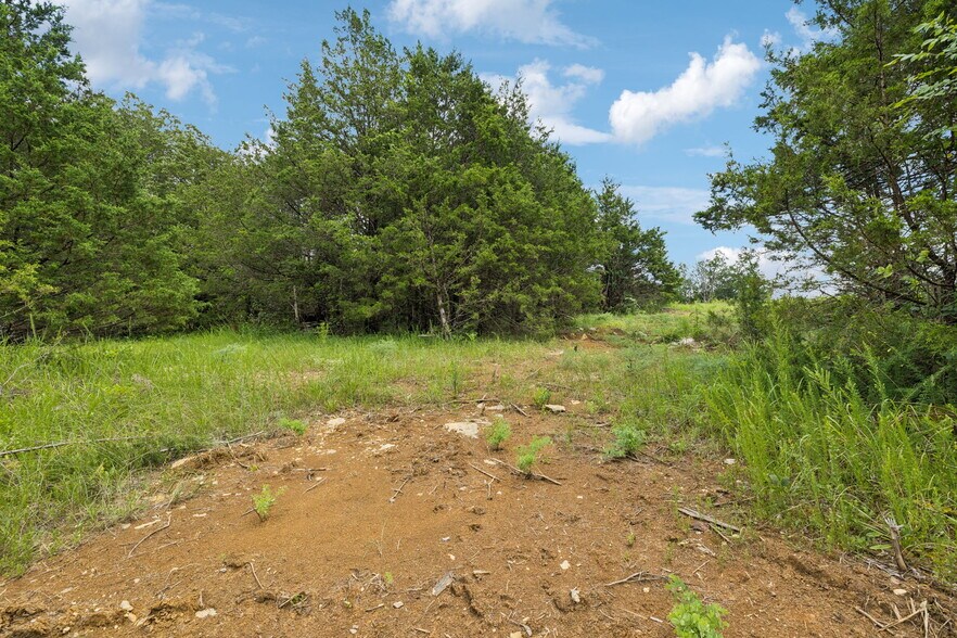 More Photos Of 7665 Shelbyville Pike, Christiana Land For Sale