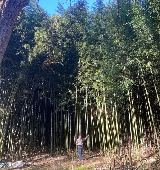 More Photos Of 1 Old Mill Lane, Weaverville Restaurant For Sale