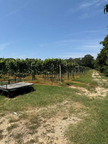 More Photos Of 221 N Delsea Dr, Cape May Court House Winery Vineyard For Sale