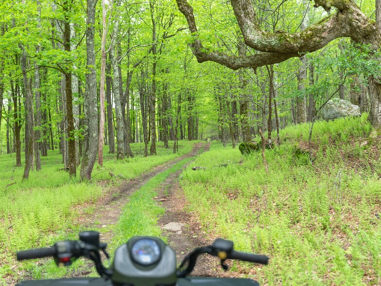 More Photos Of 1 Snow Hill Rd, Parksville Land For Sale