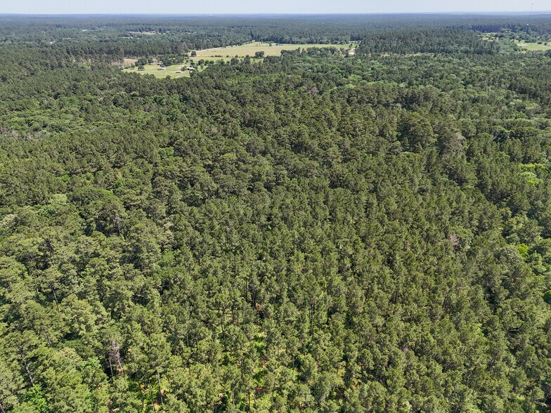 More Photos Of 20435 FM 1791, Richards Land For Sale