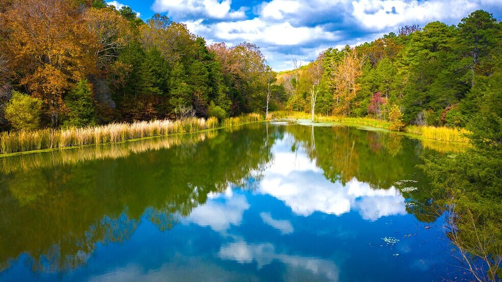 More Photos Of 3134 E Van Buren, Eureka Springs Hotel For Sale