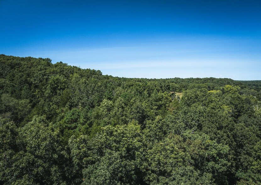 More Photos Of 4263 County Road 1, Steelville Land For Sale