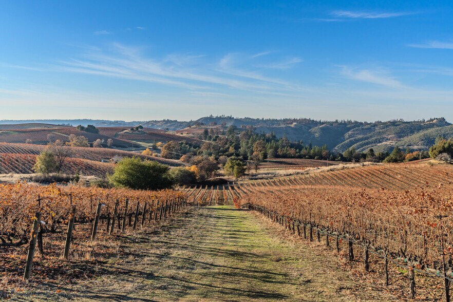 More Photos Of 5200 Di Arie Road, Mount Aukum Winery Vineyard For Sale