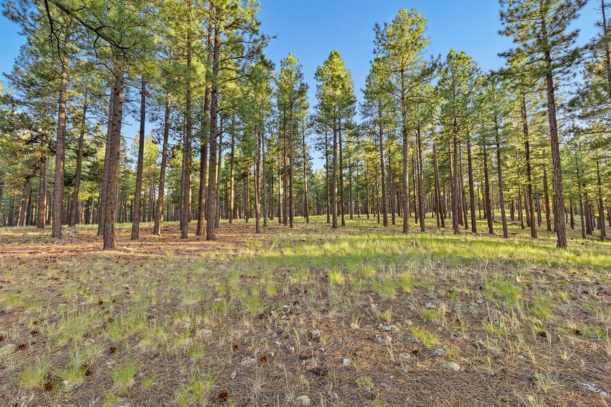 More Photos Of 2251 Kramer St, Flagstaff Land For Sale