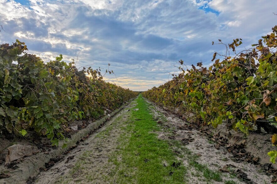 More Photos Of 11836 S Hughes Ave, Caruthers Specialty For Sale