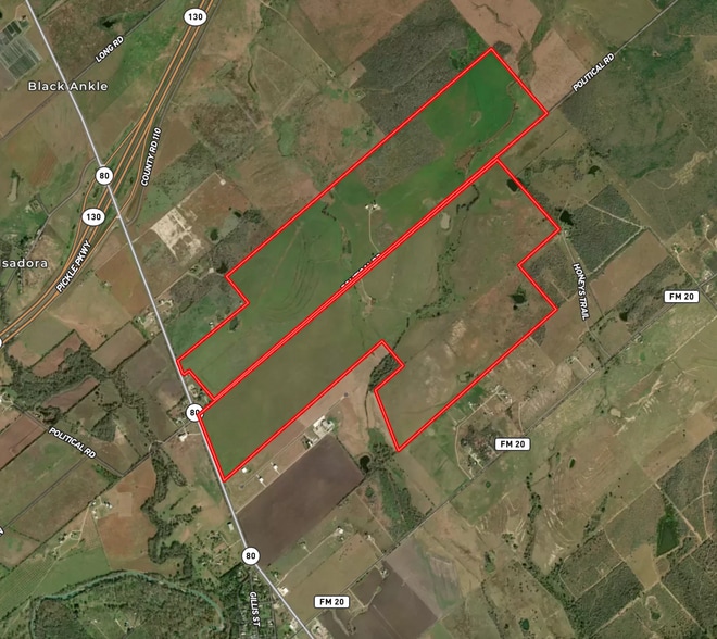 Primary Photo Of 2884 Political Rd, Lockhart Land For Sale