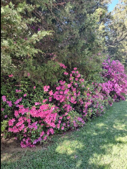 More Photos Of 84-86 Benson Rd, Travelers Rest Specialty For Sale