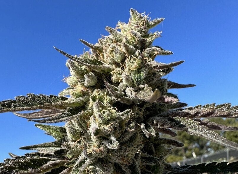 More Photos Of 947 N Buffington Rd, Sallisaw Warehouse For Sale