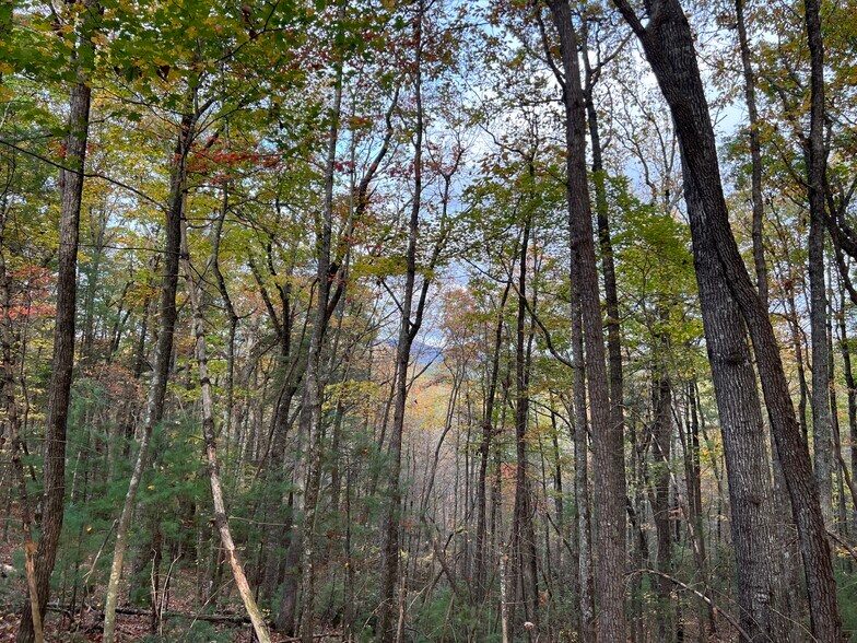 More Photos Of Whitecliff Drive, Ellijay Land For Sale