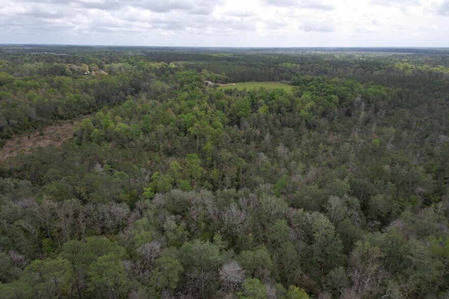 More Photos Of 12960 County Road 48, Silverhill Land For Sale