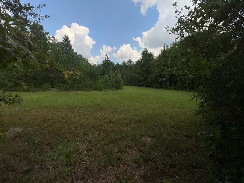More Photos Of 1378 N Duck Creek Rd, Cleveland Land For Sale