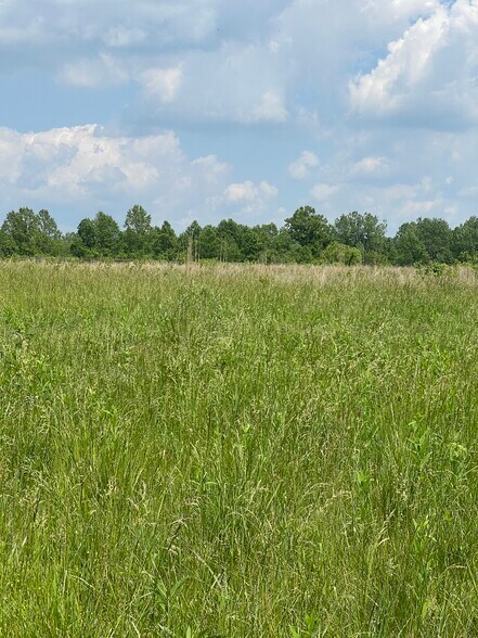 More Photos Of 7939 New Lawrenceburg Hwy, Mount Pleasant Land For Sale