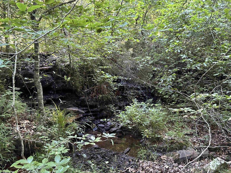 More Photos Of 2325 Six Rdg rd, Drasco Land For Sale