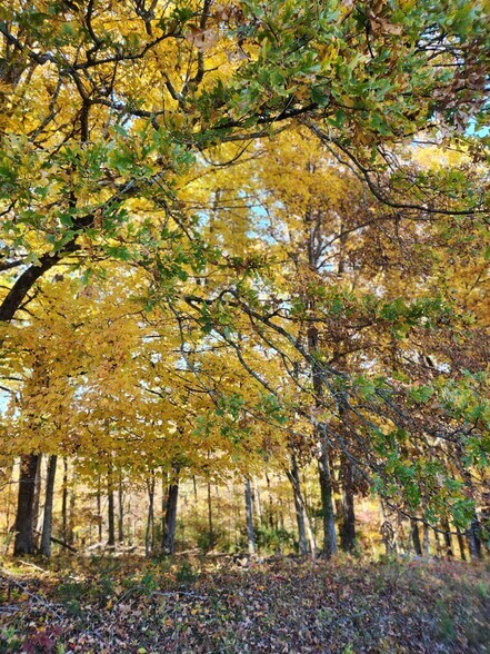 More Photos Of 715 Wheeler Rd, Ewing Land For Sale