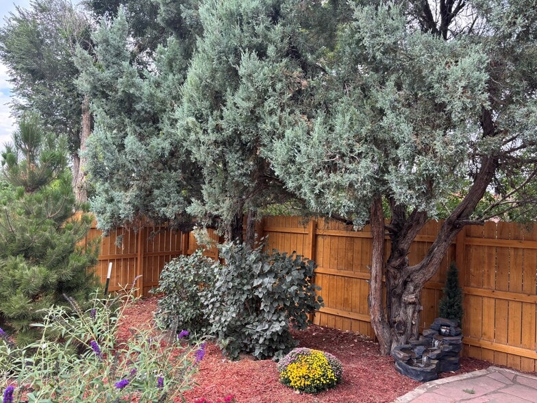 More Photos Of 515 Jerry St, Castle Rock Office For Sale