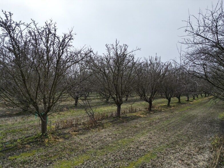 More Photos Of 8350 17 1/2 Avenue, Lemoore Land For Sale