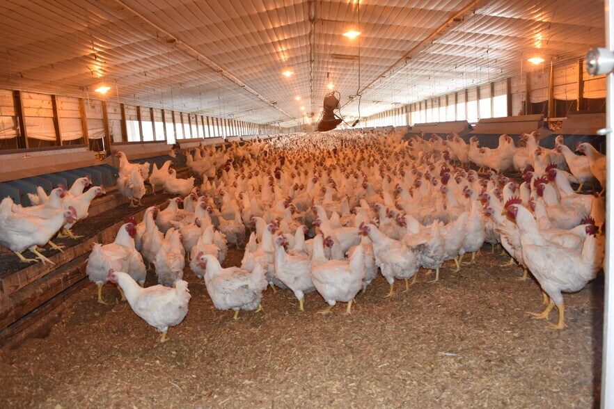 More Photos Of 441 Weaver Rd, Moultrie Land For Sale