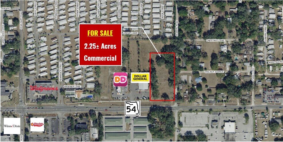 More Photos Of State Road 54 & Seaberg Rd, Zephyrhills Land For Sale