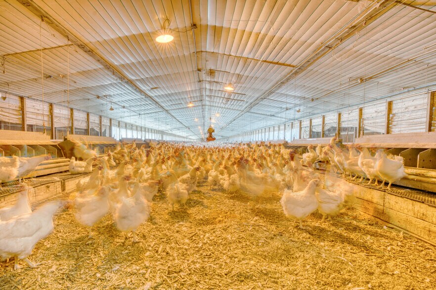 More Photos Of 441 Weaver Rd, Moultrie Land For Sale