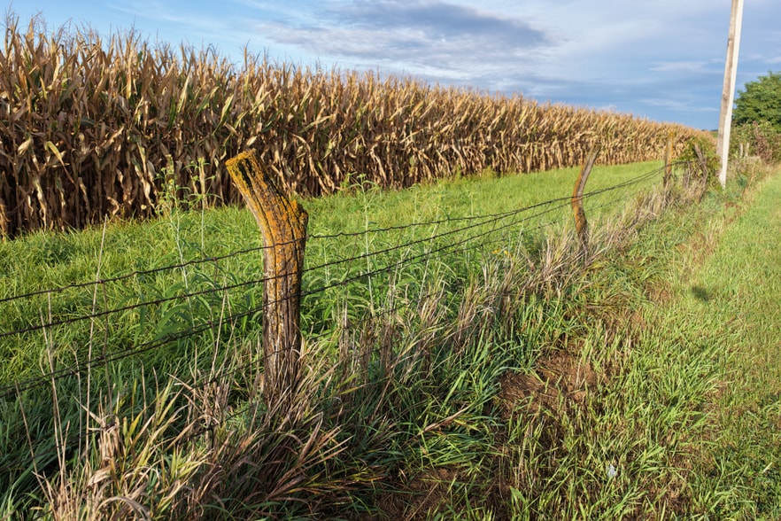 More Photos Of State Highway 16, Stockport Land For Sale